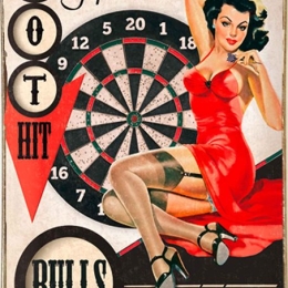 Aim for a bulls eye vintage ξύλινος πίνακας 20x30 εκ