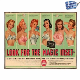 Ladies bra vintage ξύλινος πίνακας 30x20 εκ