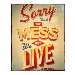 Πίνακας χειροποίητος sorry about the mess
