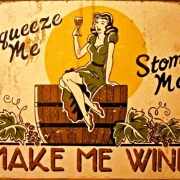 Vintage πίνακας xειροποίητος make me wine 25x20 εκ
