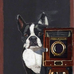 Smart dog χειροποίητος μαυροπίνακας