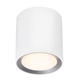 Φωτιστικό Μπάνιου Οροφής Landon 14 2110670101 2700K 600Lm 12,5x14cm White Nordlux Μέταλλο