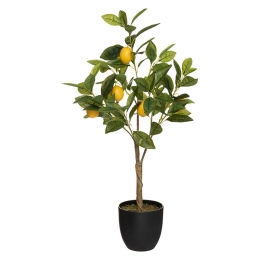 Φυτό σε γλάστρα Green12 pakoworld 43x43x73εκ
