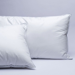 Μαξιλάρια Ύπνου Αντιμικροβιακά White Comfort Reve (Σετ 2τμχ) 1000gr White Palamaiki 50Χ70 Microfiber