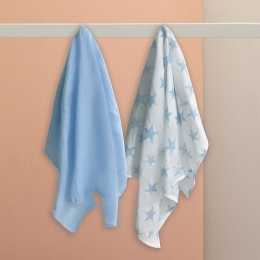 Πάνες - Μουσελίνες NB0143 Boy (Σετ 2τμχ) Light Blue Palamaiki 100% Βαμβάκι