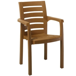 Πολυθρόνα Fiery 253-000025 59x60x87cm Teak