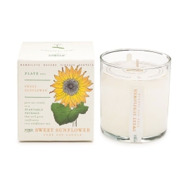 Αρωματικό Κερί Plant The Box Με Σπόρους Sweet Sunflower 283gr Kobo Κερί Σόγιας