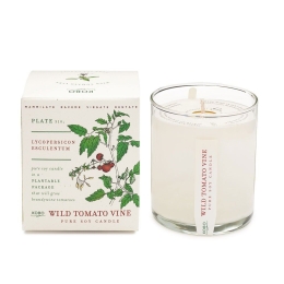 Αρωματικό Κερί Plant The Box Με Σπόρους Wild Tomato Vine 283gr Kobo Κερί Σόγιας