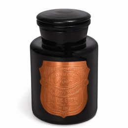 Αρωματικό Κερί Apothecary Noir Baltic Ember 226gr Paddywax Κερί Σόγιας