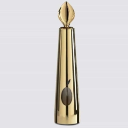Δοχείο Λαδιού Olipac Zeus AOLMO03SC 5x5x24cm 125ml Gold Ατσάλι,Γυαλί