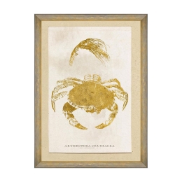 Κάδρο Caribbean Sea Life - Arthropoda Crustacea FA13178 50X70 MindTheGap Κάθετοι Ξύλο