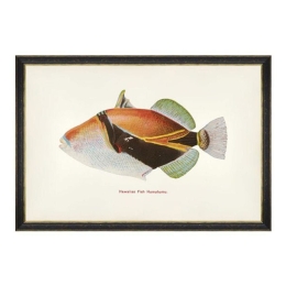 Κάδρο Fishes Of Hawaii - Humuhumu Fish FA13205 60X40 MindTheGap Οριζόντιοι Ξύλο