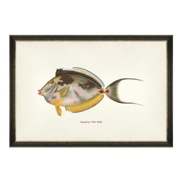 Κάδρο Fishes Of Hawaii - Kala Fish FA13206 60X40 MindTheGap Οριζόντιοι Ξύλο