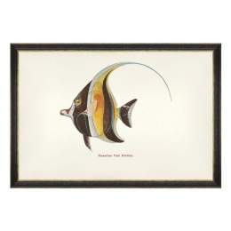 Κάδρο Fishes Of Hawaii - Kihikihi Fish FA13208 60X40 MindTheGap Οριζόντιοι Ξύλο