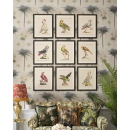 Κάδρο Parrots Of Brasil I FA13211 40X50 MindTheGap Οριζόντιοι Ξύλο