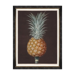 Κάδρο Pineapples Of Antigua - The Antigua Pine By Brookshaw FA13199 60X80 MindTheGap Κάθετοι Ξύλο