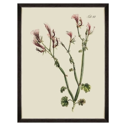 Κάδρο Botanical I FA13224 60x80cm Green MindTheGap Κάθετοι Ξύλο