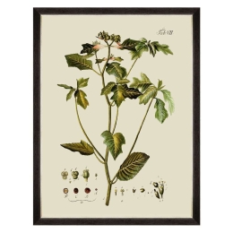 Κάδρο Botanical IV FA13227 60x80cm Green MindTheGap Κάθετοι Ξύλο