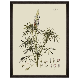 Κάδρο Botanical VI FA13229 60x80cm Green MindTheGap Κάθετοι Ξύλο