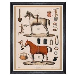 Κάδρο The Riding Equipment I FA13265 60x80cm Multi MindTheGap Κάθετοι Ξύλο