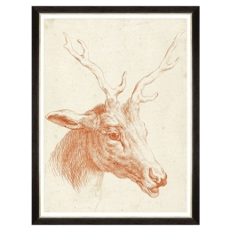 Κάδρο Deer Head FA13240 60x80cm Brown MindTheGap Κάθετοι Ξύλο