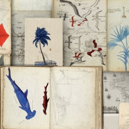 Ταπετσαρία Seaman'S Journal Wp20562 3*52X300Cm White-Red-Blue Mindthegap 52x300cm