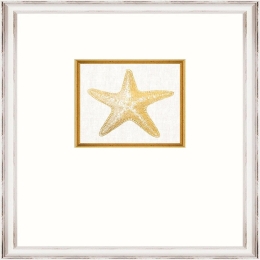 Κάδρο Starfish Fa13367 35X45Cm White-Gold Mindthegap Κάθετοι Ξύλο