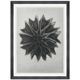 Κάδρο Lime Mallow FA13413 60x80cm Black-White MindTheGap Κάθετοι Ξύλο,Γυαλί
