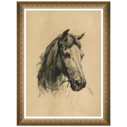 Κάδρο Head Of A Horse FA13424 50x70cm Beige-Black MindTheGap Κάθετοι Ξύλο,Γυαλί