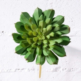 Τεχνητό Χωνευτό Παχύφυτο 6201-7 17cm Green Supergreens Πολυαιθυλένιο