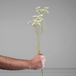 Τεχνητό Κλωνάρι Δαύκος 4701-7 52cm White Supergreens Πολυαιθυλένιο