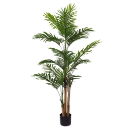 Τεχνητό Δέντρο Αρέκα 6460-6 75x75x160cm Green Supergreens Πολυαιθυλένιο