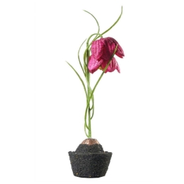 Τεχνητό Φυτό Φριτιλλάρια 6570-6 11x22cm Red Supergreens Πολυέστερ