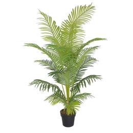 Τεχνητό Δέντρο Αρέκα 2960-6 65x65x150cm Green Supergreens Πολυαιθυλένιο