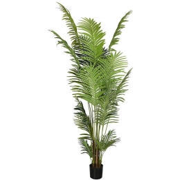 Τεχνητό Δέντρο Αρέκα 9630-6 100x100x260cm Green Supergreens Πολυαιθυλένιο