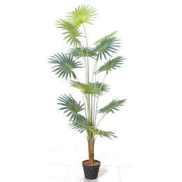 Τεχνητό Δέντρο Πιτσάρδια 5350-6 60x60x150cm Green Supergreens Πολυαιθυλένιο