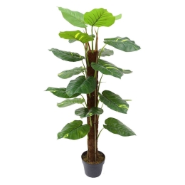 Τεχνητό Δέντρο Χρυσός Πόθος 8860-6 45x45x115cm Green Supergreens Πολυαιθυλένιο