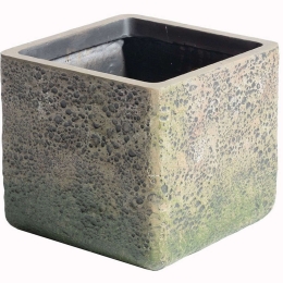 Κασπώ Πήλινο Βρύα B-2840-8 30x30x27cm Grey Supergreens Πηλός