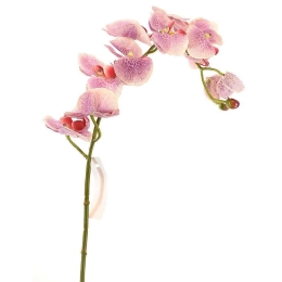 Τεχνητό Κλωνάρι Ορχιδέα 5380-7 75cm White-Purple Supergreens Πολυαιθυλένιο