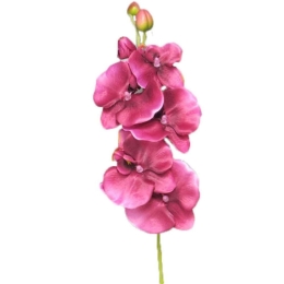 Τεχνητό Κλωνάρι Ορχιδέα 8431-7 8x68cm Pink Supergreens Πολυέστερ