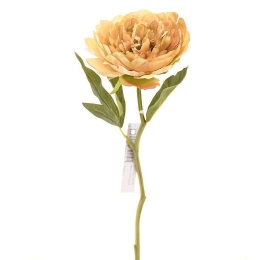 Τεχνητό Κλωνάρι Παιώνια 6280-7 34cm Beige Supergreens Πολυαιθυλένιο