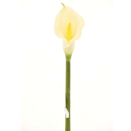 Τεχνητό Κλωνάρι Κάλλα 1030-7 76cm White Supergreeens Πολυαιθυλένιο