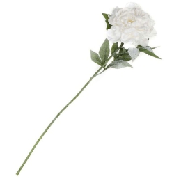 Τεχνητό Κλωνάρι Παιώνια Χιονισμένη 4220-7 70cm White Supergreens Πολυαιθυλένιο