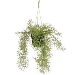 Τεχνητό Κρεμαστό Φυτό Σπαράγγι 5151-7 9x9x40cm Green Supergreens Πολυαιθυλένιο