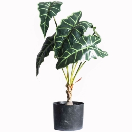 Τεχνητό Φυτό Αλοκάσια 6550-6 38x38x60cm Green Supergreens Πολυαιθυλένιο