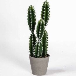 Τεχνητό Φυτό Εφόρμπια Caerulescens 0880-6 50cm Green Supergreens Πολυαιθυλένιο