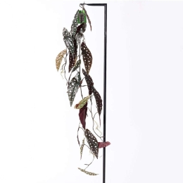 Τεχνητή Γιρλάντα Μπιγκόνια Maculata 1261-7 120cm Multi Supergreens Πολυαιθυλένιο