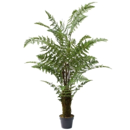 Τεχνητό Δέντρο Αρέκα Phoenix 7280-6 100x150cm Green Supergreens Πολυαιθυλένιο
