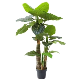 Τεχνητό Δέντρο Αλοκάσια Elephant Ears 8180-6 80x135cm Green Supergreens Πολυαιθυλένιο