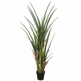 Τεχνητό Δέντρο Αγαύη 5280-6 70x180cm Green Supergreens Πολυαιθυλένιο
